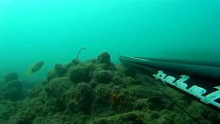 İskenderun Zıpkınla Minekop Harmadal Avı  Spearfishingturkey  Zıpkınla Balık Avı [upl. by Sonya]