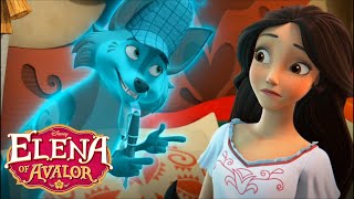 Zuzo Knows Why Elenas Dream Came True  Elena of Avalor  Dreamcatcher HD [upl. by Loma]