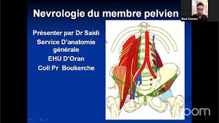 🔴Anatomie  Plexus LomboSacré [upl. by Philbin542]