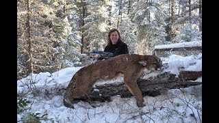 Outdoor Quest TV Cougar hunting in British Columbia [upl. by Tenner]