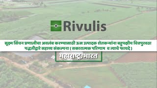 Drip Irrigation Financing to Sugarcane Grower  Marathi  Rivulis India [upl. by Eicirtap398]