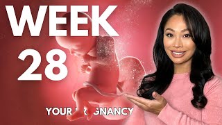 28 Weeks Pregnant  Your Weekby week Pregnancy Guide [upl. by Pufahl]