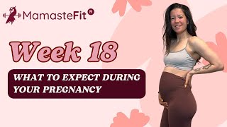 Week 18 What to Expect During Your Pregnancy  Ginas Pregnancy Journey [upl. by Ahsaz]