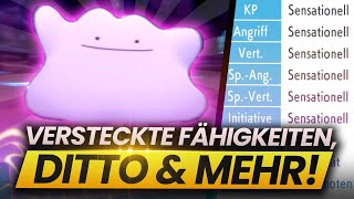 DITTO VERSTECKTE FÄHIGKEITEN amp RICHTERFUNKTION BEKOMMEN  Pokemon Strahlender Diamant [upl. by Kissee]