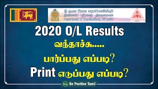 How to Check GCE AL Results on the Website  Tamil  BePositiveTamil [upl. by Jule]