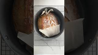 Classic Sourdough Bread sourdoughbaking sourdough bread [upl. by Nej]