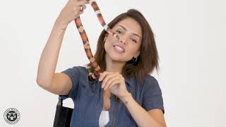 Celebrity Crush Pueblan Milk Snake Gets Wild with Eiza González  Global Wildlife Conservation [upl. by Ainavi]