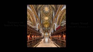 St Pauls Cathedral London Peter Holder Concert [upl. by Anaul]