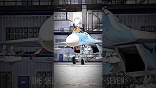 The Sukhoi su27 flanker su27 [upl. by Madlin]