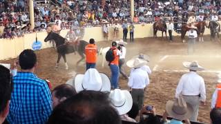 Accidente en Cala de Caballo  Caballo Prieto El Cora de Puente de Camotlán [upl. by Anieral]