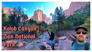 Visit Zion Without the Crowds  Kolob Canyons 🇺🇸 [upl. by Cadmar]