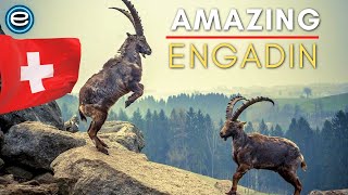 Engadin  Switzerlands Wilderness  Full Nature Documentary [upl. by Alfi748]