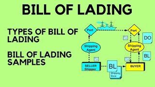 Bill of Lading  Types of Bill of Lading amp Bill of Lading Samples [upl. by Fu]