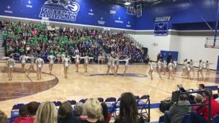 Faribault Dance Team 2017 KICK [upl. by Asilegna]