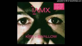 IAMX  Kiss And Swallow Moonbootica Remix [upl. by Ynehpets712]