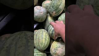 How to Pick a Good Quality Watermelon watermelon [upl. by Hayse768]