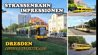 Straßenbahn Dresden  Straßenbahn Impressionen  AugustiSeptember 2023 [upl. by Llieno40]