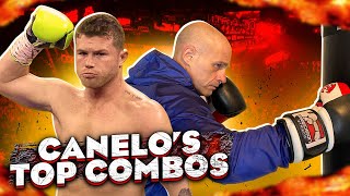 10 Canelo Combos for the Heavy Bag [upl. by Favian]