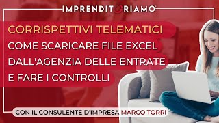 Corrispettivi telematici  Come scaricare file Excel dallAgenzia delle Entrate e fare i controlli [upl. by Pevzner]