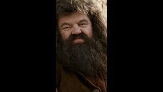 Hagrid spills the tea HarryPotter Hagrid [upl. by Matty]