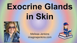 Exocrine Glands in Skin Integument [upl. by Amikat]