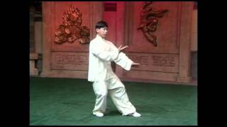 103 movements Yang Style Tai Chi form performed by Yang Jun [upl. by Risley]