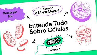 CITOLOGIA  BIOLOGIA  QUER QUE DESENHE [upl. by Lledo59]