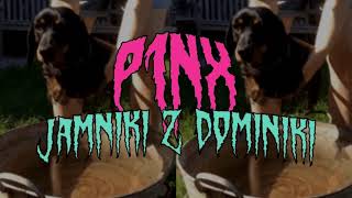 P1NX  Jamniki z Dominiki [upl. by Omrelliug]