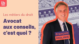 Métiers du droit Episode 6  Avocat aux conseils cest quoi  par François Molinié [upl. by Dorr]