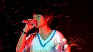 Meteor Shower theme live  Starlit Fairytale 流星物语 魏晨现场版 [upl. by Enaej]