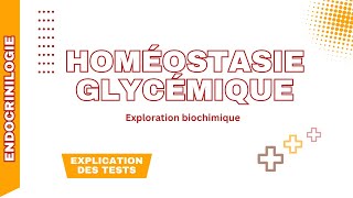 La biochimie glycémiqueGAJ HGPOHGPIV Hba1c fructosamine insulinémie glucosurie et cétonurie [upl. by Amikat]