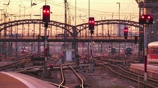 Abendstimmung am Münchner Hbf mit Zugverkehr [upl. by Aihseym]