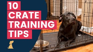 Crate Training Tips  10 Hacks To Help Your New Puppy Love The Crate [upl. by Selassie569]