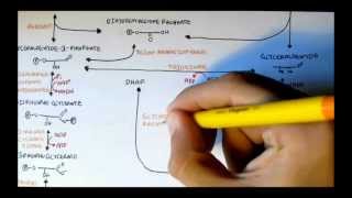 How to Write the formula for Nitrogen Monoxide [upl. by Radcliffe]