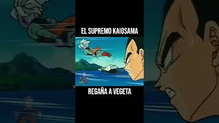 El supremo kaiosama regaña a Vegeta por cantar m4m4da5 anime akiratoriyama dragonball vegeta [upl. by Roldan]