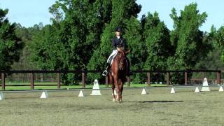 Sydney CDI 2015  Julie Brougham and Vom Feinsten 4th in the Shadow Trailers Australia Grand Prix [upl. by Huebner]