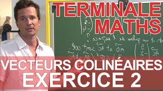 Vecteurs colinéaires  Exercice 2  Mathématiques Terminale  Les Bons Profs [upl. by Ecirtap749]