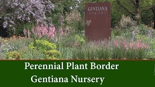 Perennial Garden Borders  Planting Ideas and List For Garden Design [upl. by Artimas]