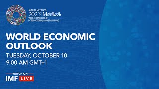 Press Briefing World Economic Outlook October 2023 [upl. by Koralie]