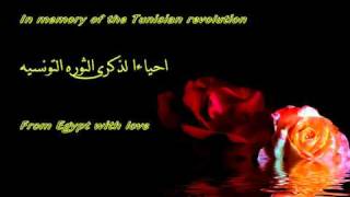 Allah Allah ya Baba  Oriental instrumental for the Tunisian revolution [upl. by Atnima]