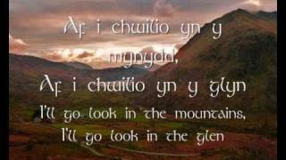 Mae Hiraeth yn Fy Nghalon  Dafydd Iwan geiriau  lyrics [upl. by Shimkus]