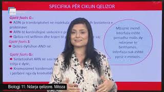 Biologji 11  Ndarja qelizore Mitoza [upl. by Corydon]