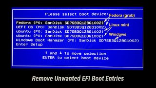 Remove Old EFI Entries from Boot Menu  Without using CMD Commands [upl. by Lodie248]