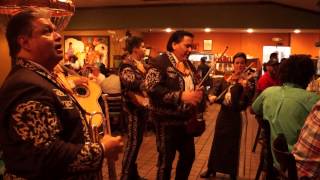 Orange Blossom Special MARIACHI FESTIVO Call Robert Rivera 4076374199 [upl. by Wystand]