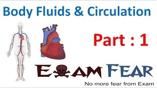 Disorders of Circulatory System  Body Fluids amp Circulation Chapter 15 Part 12  Class 11 Biology [upl. by Lipsey]