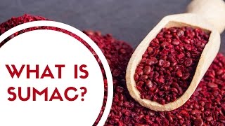 What is Sumac Is It Poisonous [upl. by Annayat]