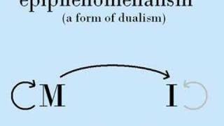 Why Epiphenomenalism Must be Wrong [upl. by Samoht]