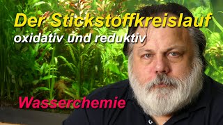 Der Stickstoffkreislauf im Aquarium Nitrifikation und Denitrifikation in den Biofilmen [upl. by Hasen]