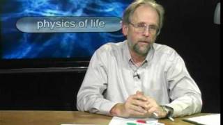 Physics of Life  The Reynolds Number [upl. by Austin885]