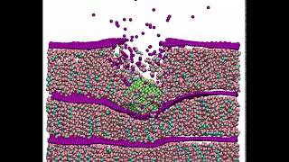 Impact Tests of Multilayer GraphenePolymer Nanocomposites Penetration of the projectile [upl. by Lati557]